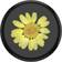 Popsockets Pressed Flower Yellow Daisy