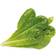 Click and Grow Smart Garden Romaine Lettuce Refill 3-pack Grøntsagsfrø