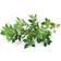 Click and Grow Smart Garden Thyme Refill 3 pack Plantesæt