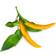 Click and Grow Smart Garden Yellow Chili Pepper Refill 3 pack Grøntsagsfrø