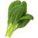 Click and Grow Smart Garden Mibuna Refill 3 pack Plantesæt
