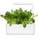 Click and Grow Smart Garden Mibuna Refill 3 pack Plantesæt