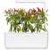 Click and Grow Smart Garden Piri Piri Chili Pepper Refill 3 pack Grøntsagsfrø