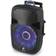 Fenton FT15JB 800W Subwoofer 15 AUX LED + 1 Micro