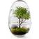 Design House Stockholm Grow Mini Greenhouse S Verre