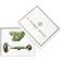 A Pure Mind Gua Sha + Ansigtsrulle Gift Box