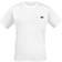 Dickies Porterdale Pocket T-Shirt - Blanc Men