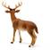 Schleich Whitetailed Hjort 14818