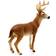 Schleich White Tailed Buck 14818