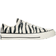 Converse Chuck Taylor All Star Archival Zebra Print