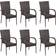vidaXL 310087 6-pack Havestol