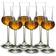 Stölzle Lausitz Grappa Wine Glass 8.7cl 6pcs