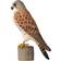 Wildlife Garden Deco Bird Tornfalk Dekorationsfigur