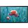 Samsung QB24R-B Pantalla Plana Para 60,5 cm LCD Wifi Full HD Negro