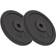 vidaXL Weight Plates 2X10Kg Cast Iron