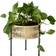 Menu Umanoff Planter Plantekasse