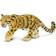 Safari Clouded Leopard 100239
