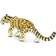 Safari Clouded Leopard 100239