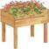 vidaXL Raised Garden Planter 40x50x45cm