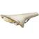 Brooks Cambium C17 Special