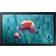 Samsung QB13R Série QBR 13" LCD Full HD Noir