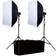 Falcon Eyes Studioflitsset SSK-2200D met Tas