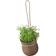 Rig Tig Grow-It Flower Pot ∅13cm