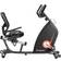 inSPORTline Recumbent Delavan RMB