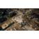 Phoenix Point: Year (XOne)