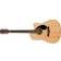 Fender CD-60S Dreadnought WN BK