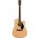 Fender CD-60S Dreadnought WN BK