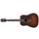 Ibanez AVD10