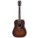 Ibanez AVD10