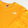 The North Face Redbox T-shirt - Summit Gold/TNF Black