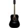 Ibanez PF15-BK Noire Guitare acoustique