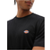 Dickies Mapleton Light Weight T-shirt - Black