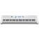 Yamaha Ez-300 Teclado Midi 61 Llaves Usb Plata, Blanco