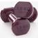 Nyamba Halters voor fitness 2 x 1.5 kg bordeaux