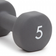 Abilica Dumbbell 5kg