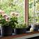 Hay Plant Pot with krukfat XL ∅28cm