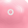 Pure2Improve Pelota de yoga antiburst Rose