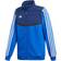 Adidas Tiro 19 Presentation Jacket - Bold Blue/Dark Blue/White (DT5268)