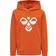 Hummel Cuatro Hoodie - Koi (204743-3042)