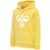 Hummel Cuatro Hoodie - Maize (204743-5096)