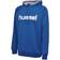 Hummel Go Kids Cotton Logo Hoodie - True Blue (203512-7045)