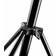 Walimex Lampada per Treppiede Altezza Max 730 cm Nero 16331