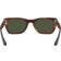 Ray-Ban Caribbean Gafas de Sol RB 2248 954/31