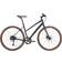 Nishiki Comp Nine 2021 Damcykel