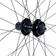 Bontrager AT-650 Front Wheel