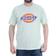 Dickies Horseshoe T-shirt - Mint